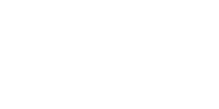 Vectoris System